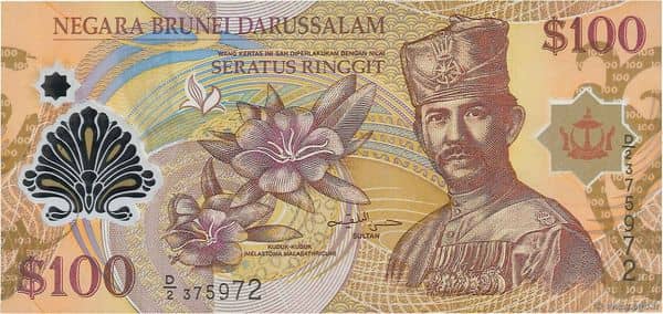100 Ringgit from Brunei
