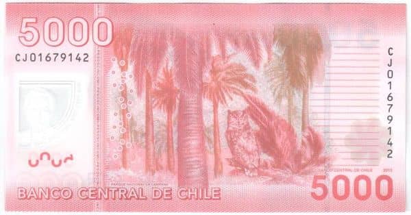 5000 Pesos from Chile