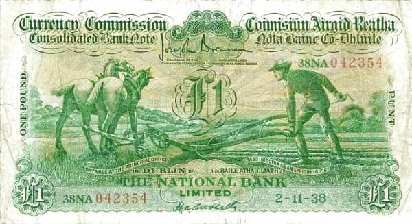 1 Pound / Punt from Ireland
