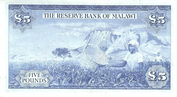 5 Pounds from Malawi