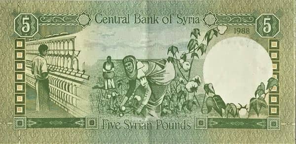 5 Pounds from Syria