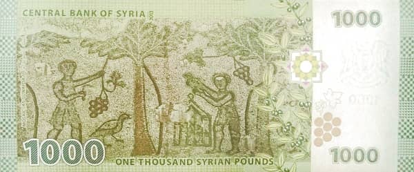 1000 Pounds from Syria