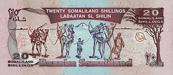 20 Shillings from Somaliland