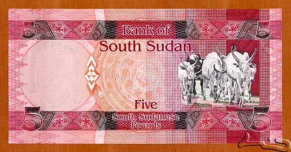 5 Pounds from South Sudan