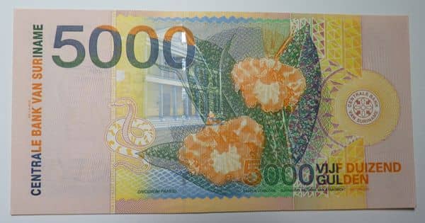 5000 Gulden from Suriname