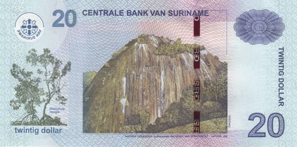 20 Dollar from Suriname