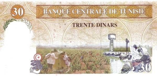 30 Dinars from Tunisia