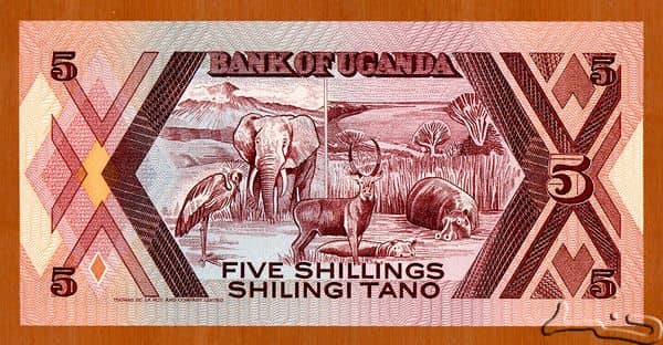 5 Shillings from Uganda